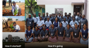 P&P Planting